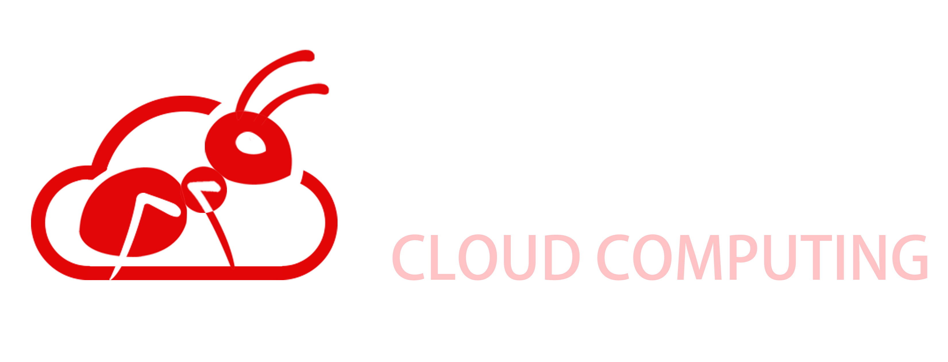 RED ANT IDC